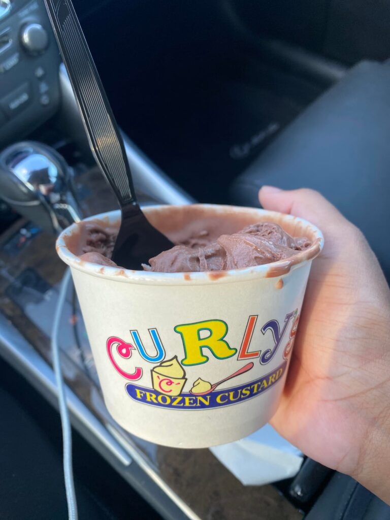 How many calories does this look like? Chocolate custard with cheesecake bites blended in