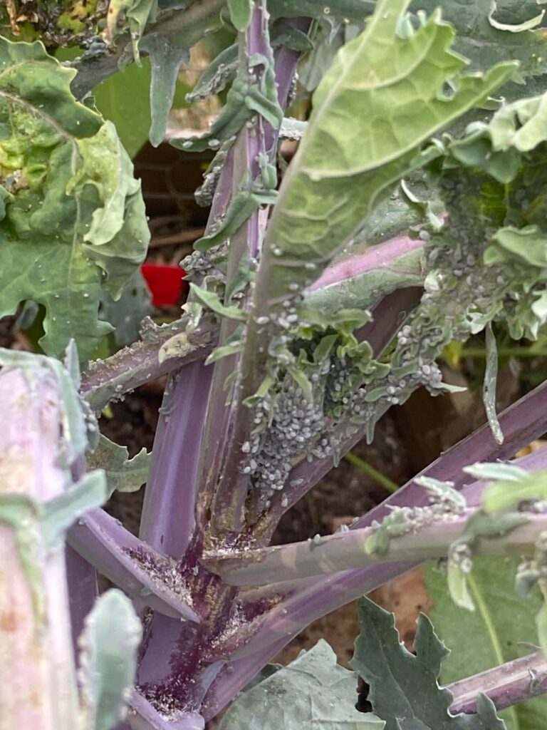 Friends, is this what I think it is