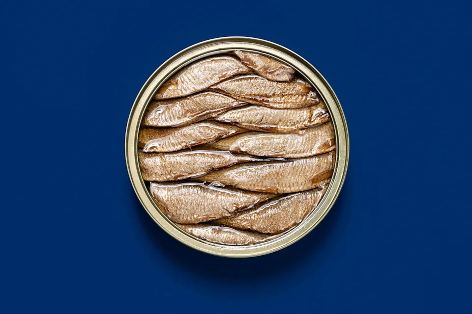 Opened Sardine Can on Deep Blue Colored Background Directly Above View.