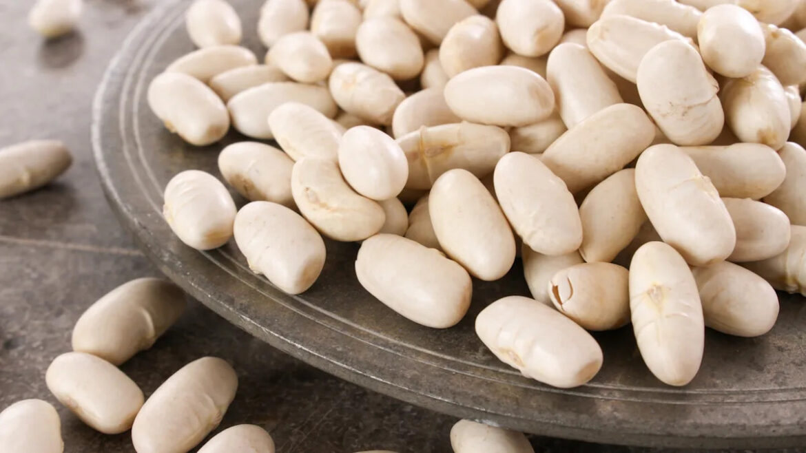 Yahoo lifestyle home