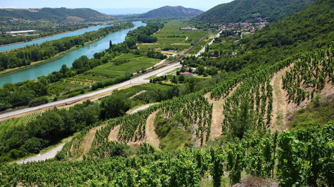 Yahoo lifestyle home