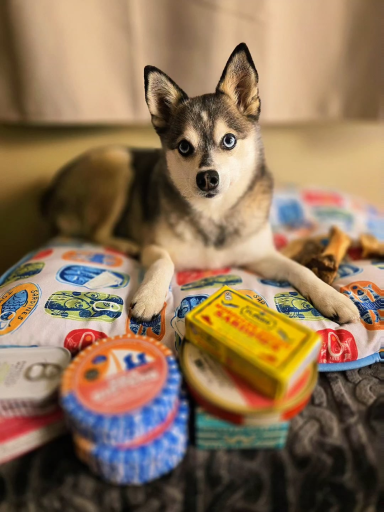 My tinned fish partner