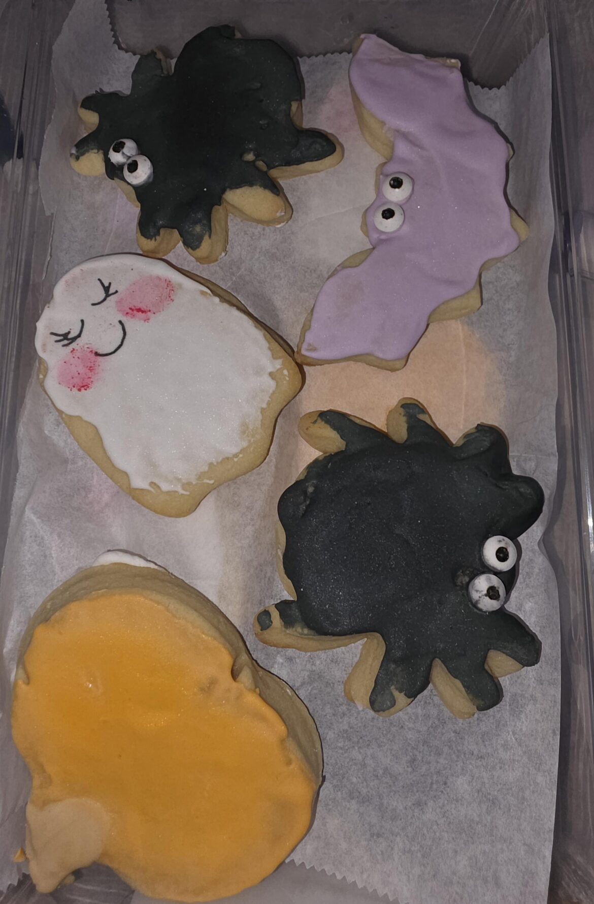 My first time making and decorating with royal icing!