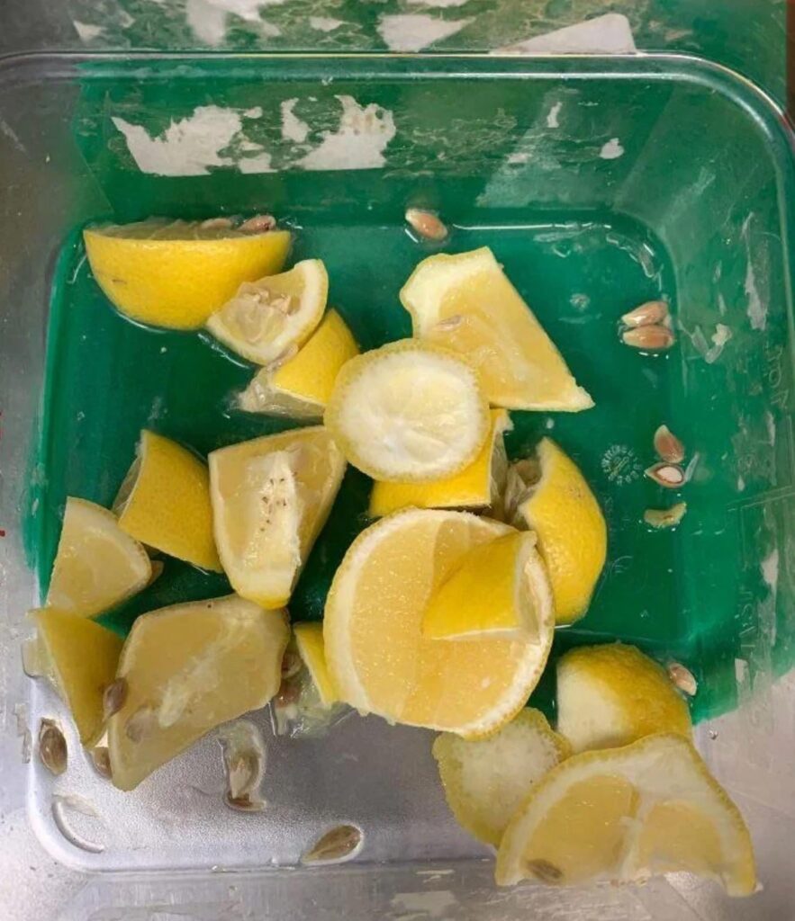 Cutting lemons every day as a waiter for our bev station until I get promoted to management.