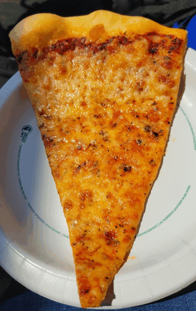 Beautiful cheese pizza slice!