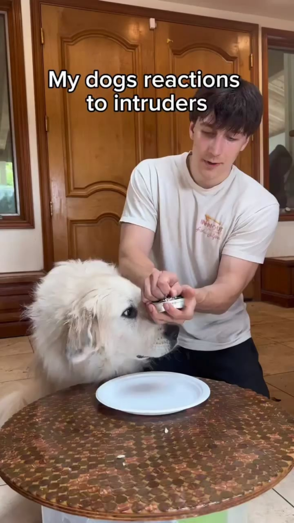 When Sardines are life