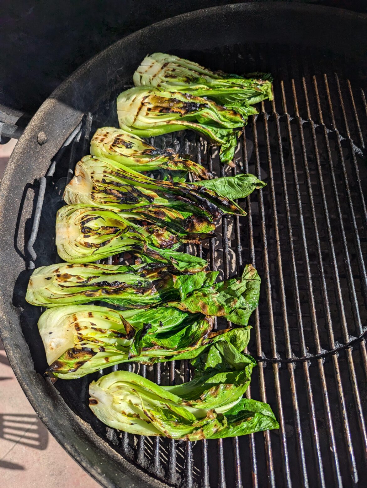 If you're looking for more veggies to add to the rotation, have you tried bok choy? It's great for grilling.