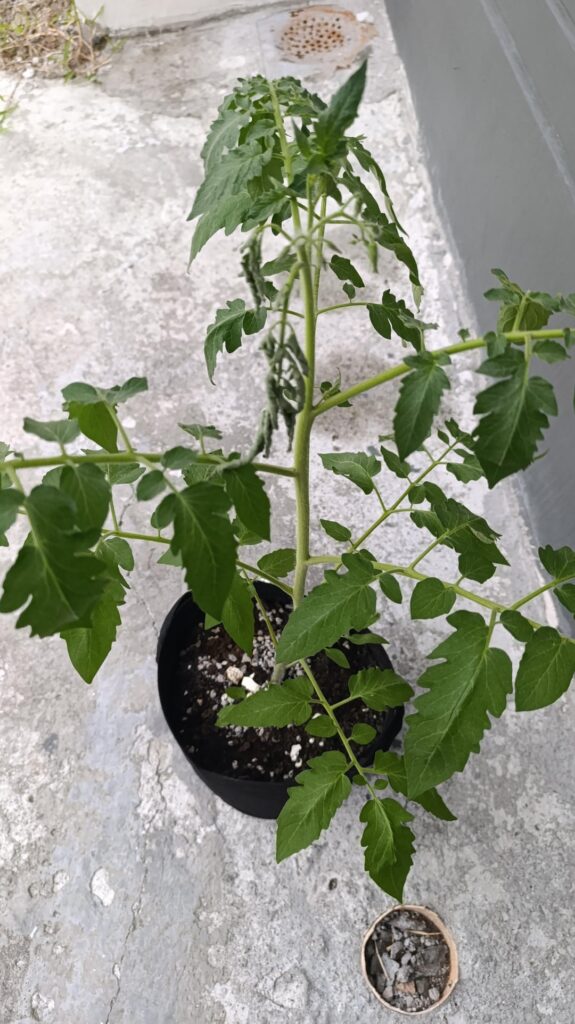 What to do with this? What to do with this?