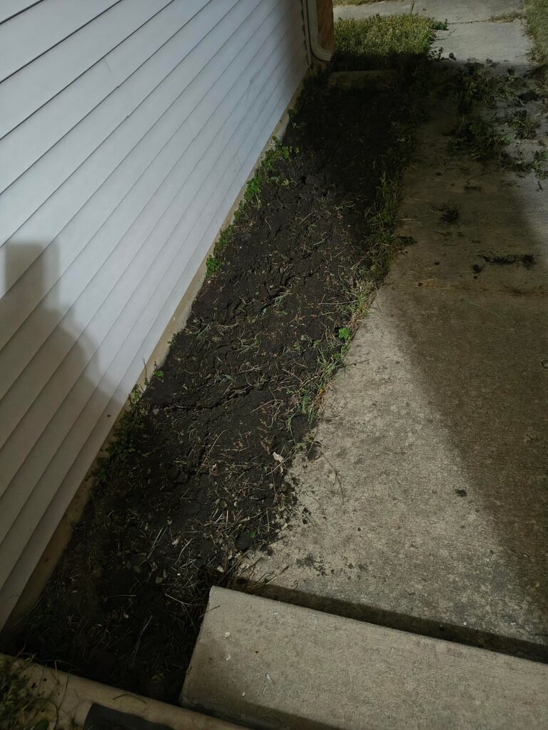 Help! I went to clear a garden bed and as I swung my mattock, I smelled a minty fragrance