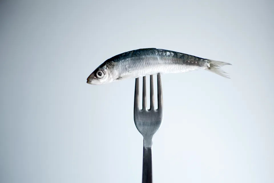 Watch out your calorie intake: reduce the intake of dietary sodium, saturated fats, trans fats, carbohydrates and excess calories. 

Fishes isolated on white dish. A Coruña. Spain.