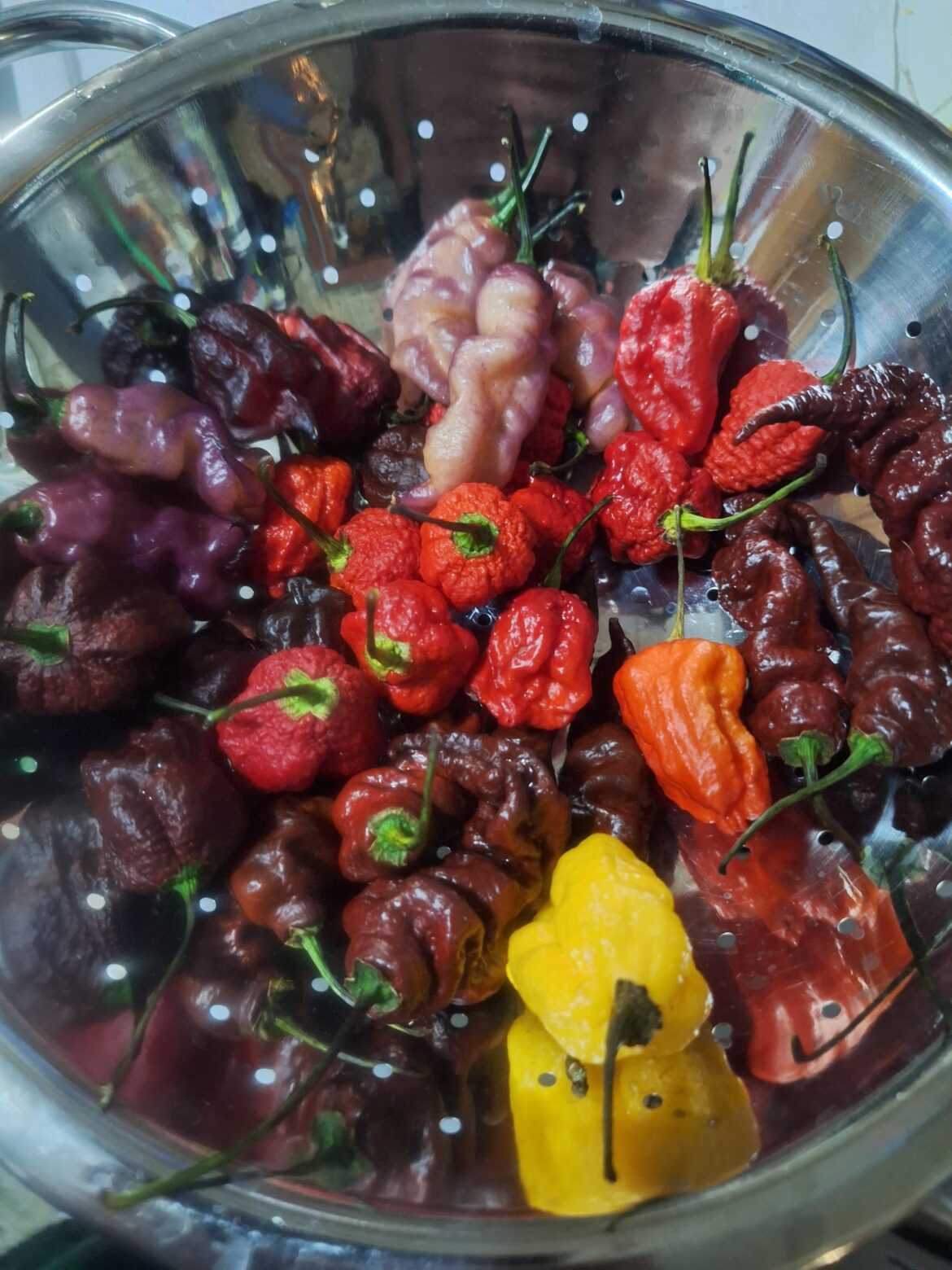 32 pepper salsa 32 pepper salsa