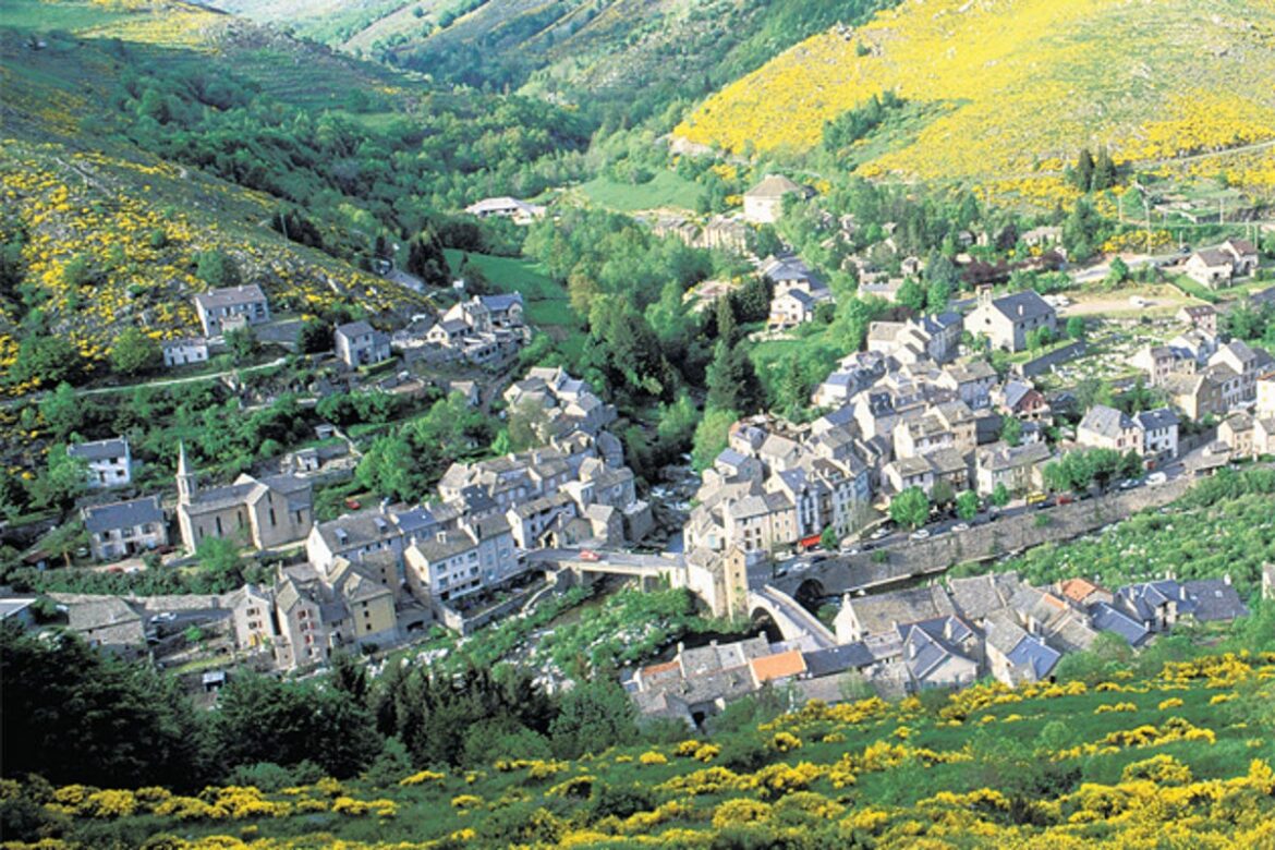 French cyclist, 77, survives for three days on red wine after plunging down 130ft ravine French cyclist, 77, survives for three days on red wine after plunging down 130ft ravine