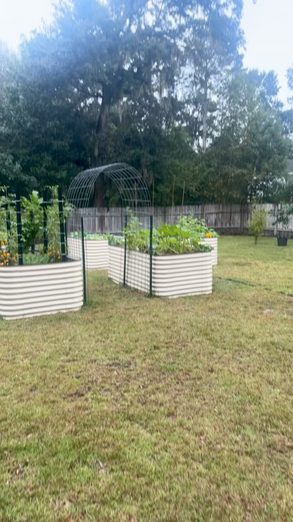 My garden is finally taking off now!