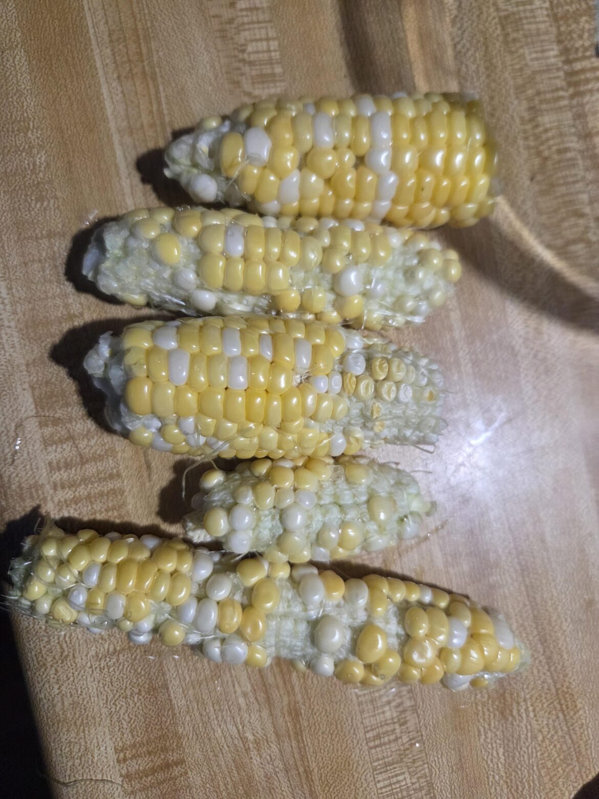 Why bother growing corn?
