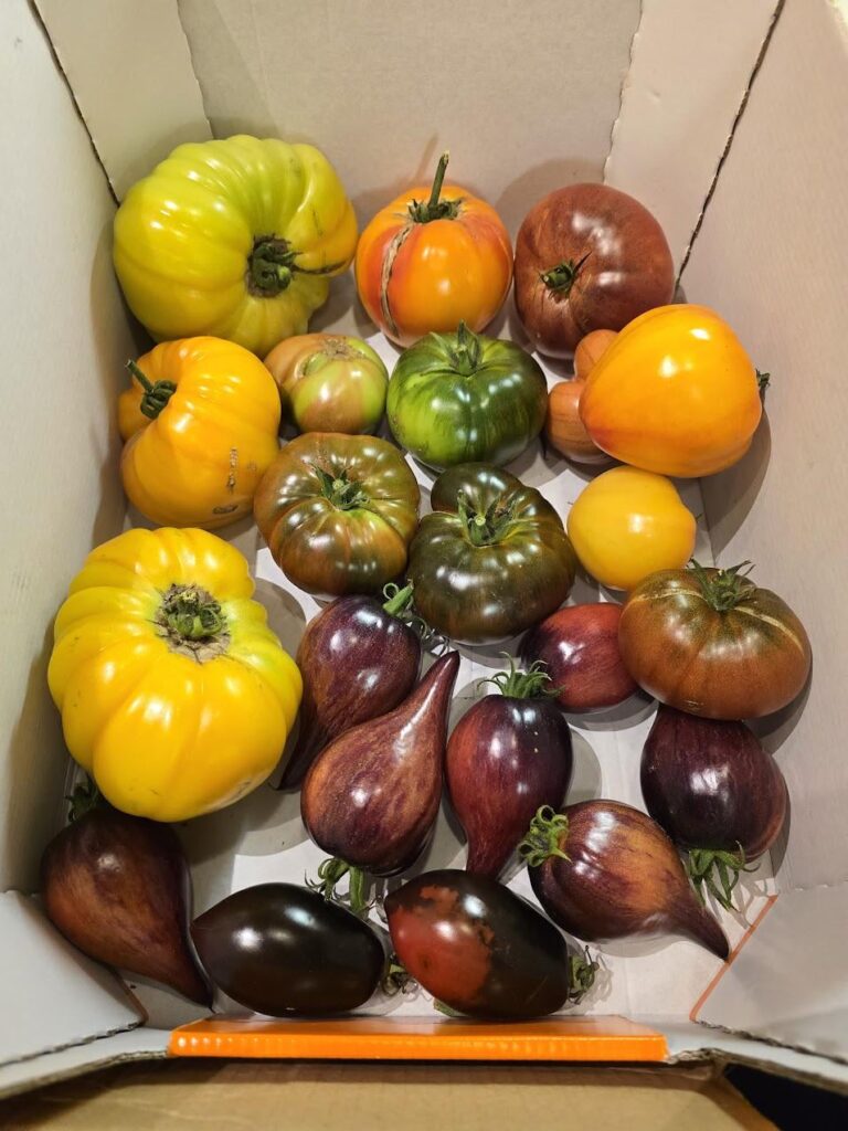 That's it for 2025. Picked last ones. I'll see you all in summer 2026.