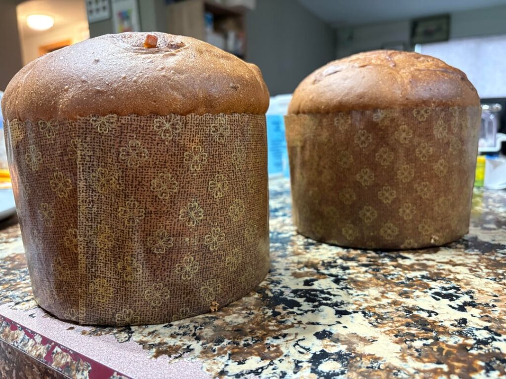 Panettone practice