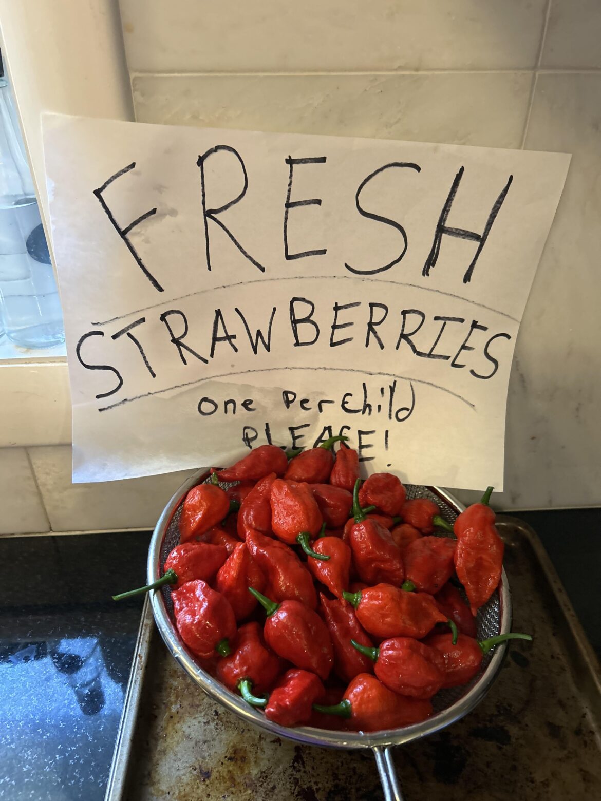 Should I let the internet bleed into real life tonight?