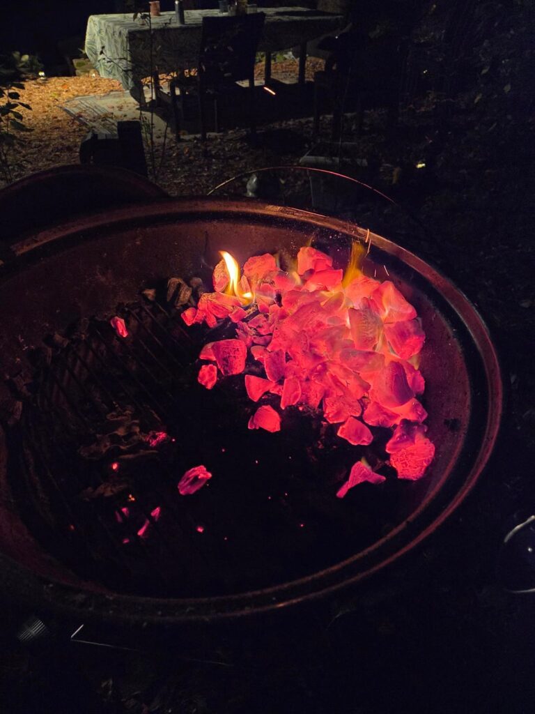 Lamb kebabs with Moroccan carrots, grilled baby eggplants, and grilled onions