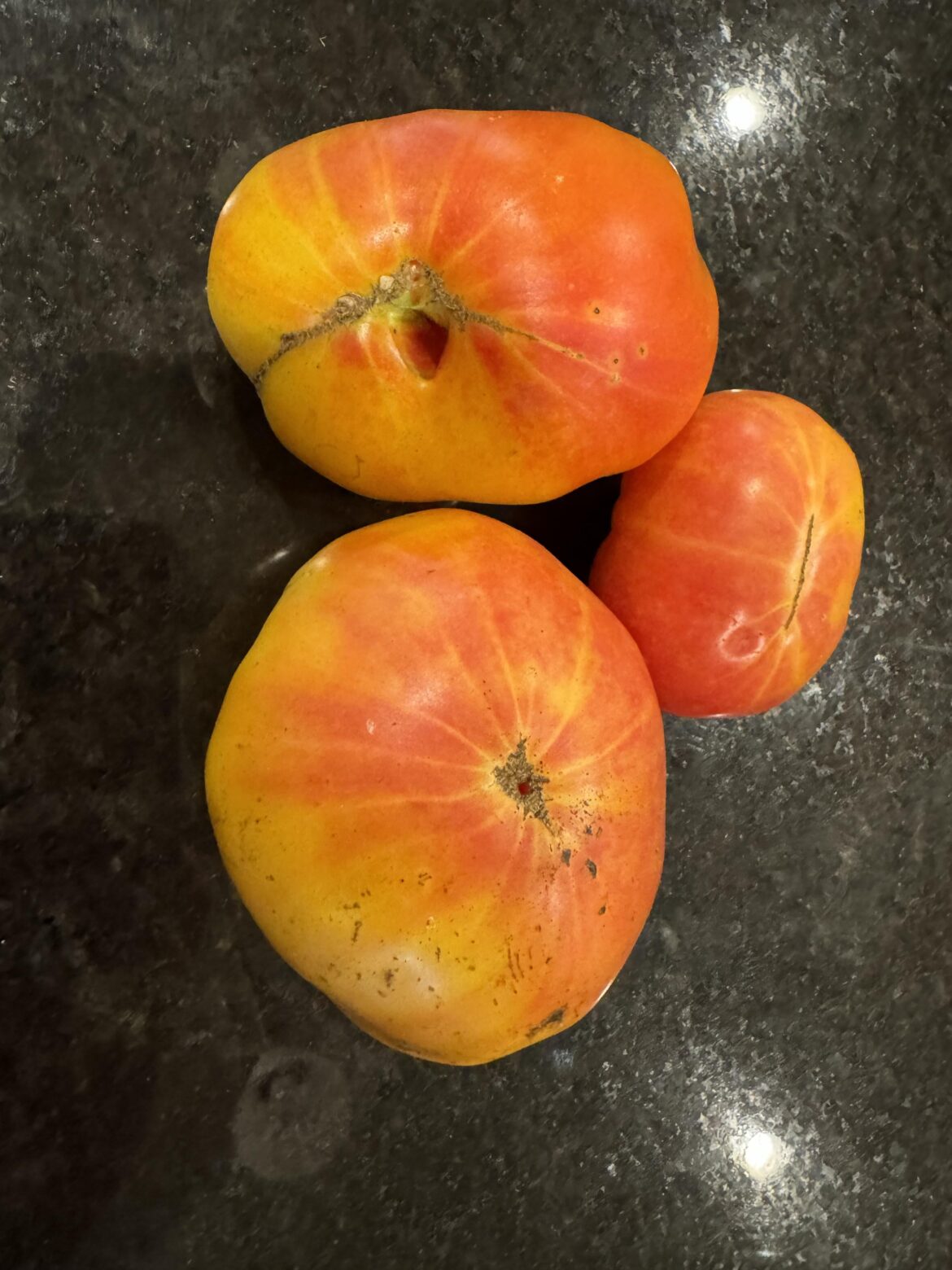 It’s taken 7 months! But my plant finally produced these beauties. And they are just as good as I remember!