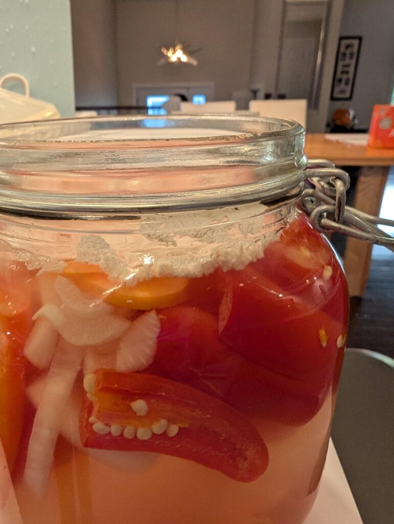 Fermented jalapenos gone bad?