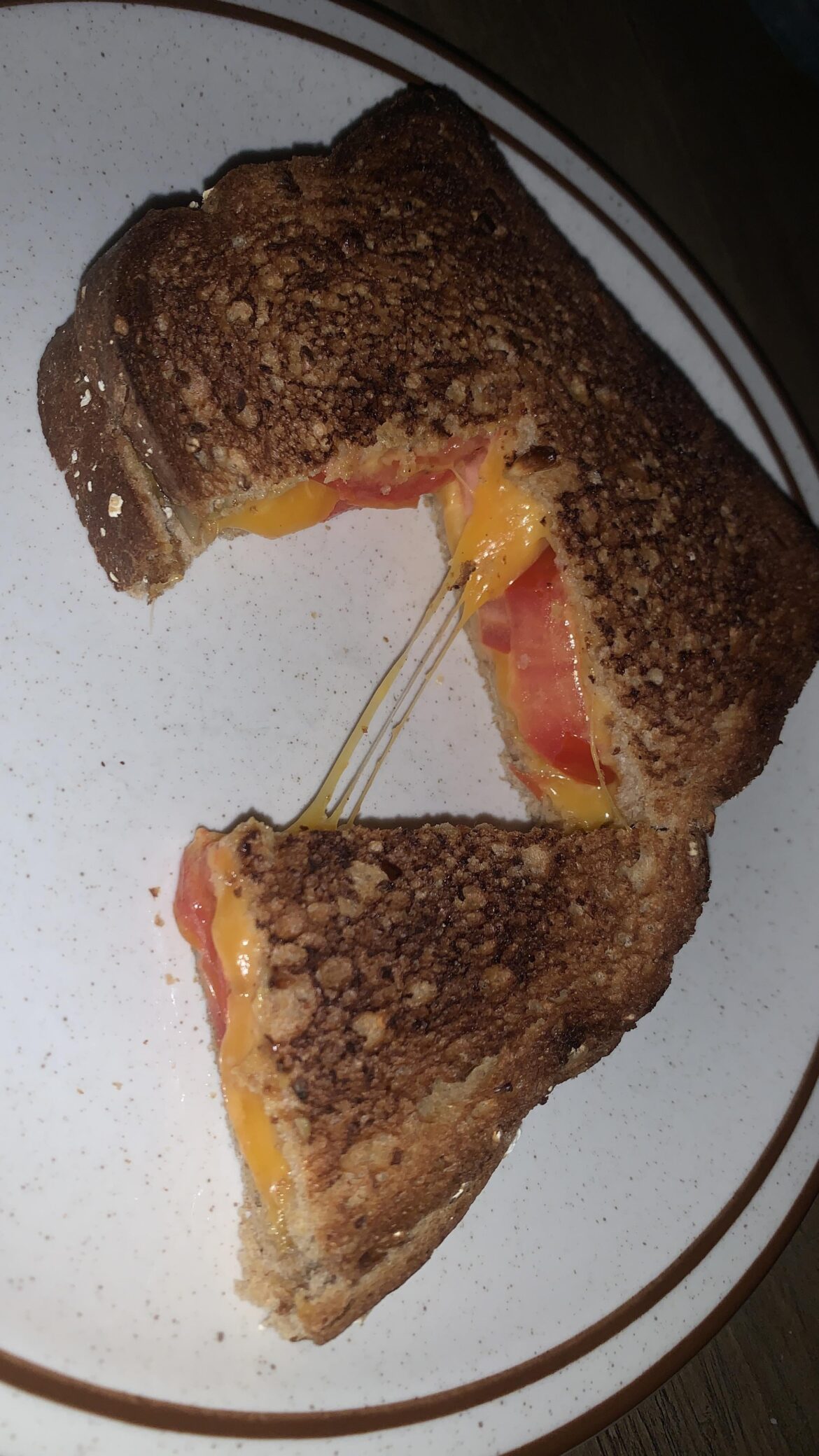 Grilled cheese with tomato.