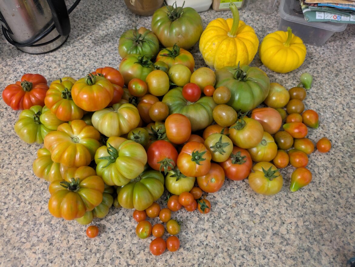 Getting back into gardening