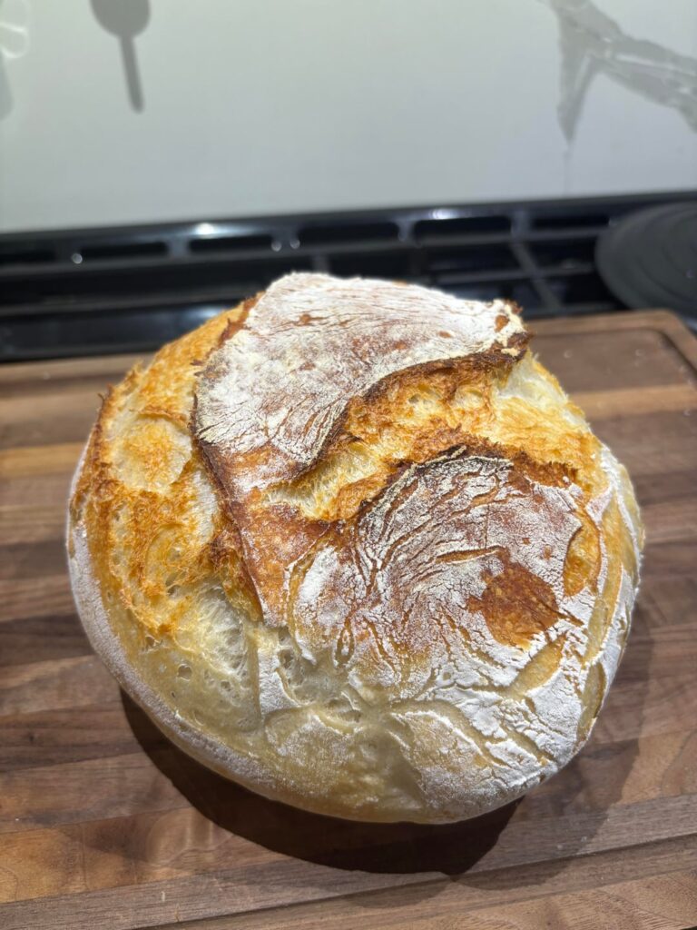 My first ever sourdough! How did I do?