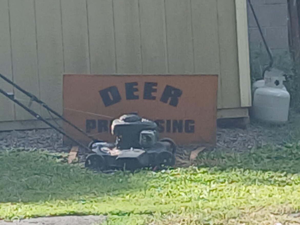 At a local butcher shop.