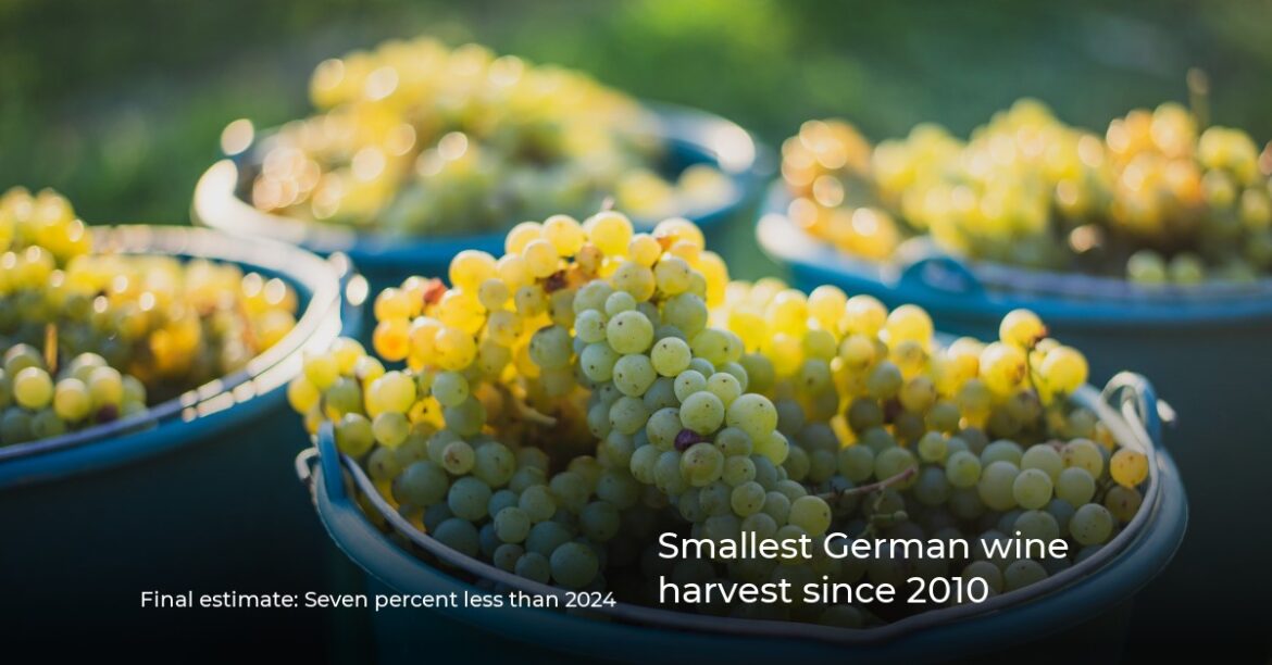 Smallest German wine harvest since 2010