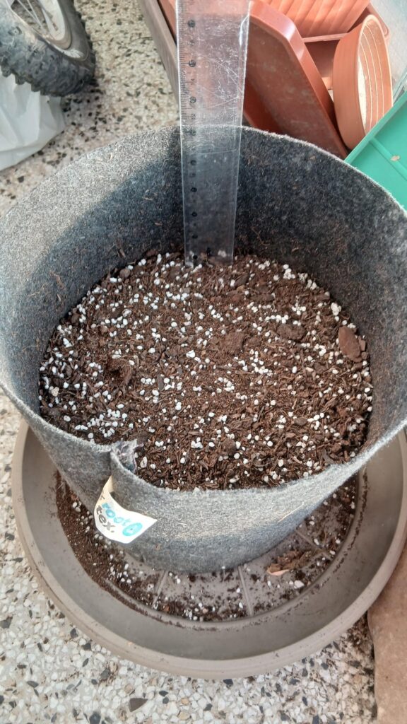 How do i make plants grow more roots? How do i make plants grow more roots?