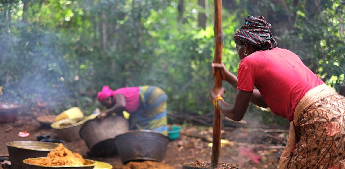 Which cooking oil is best? Asking how they’re made could tell you more