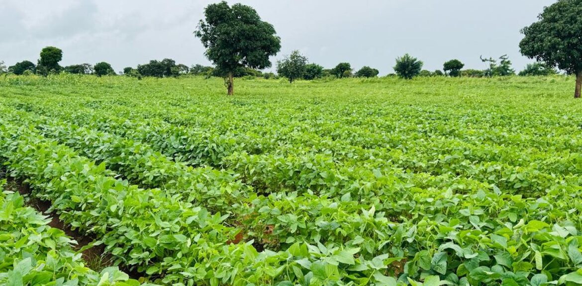 four steps to boost production and make markets work better