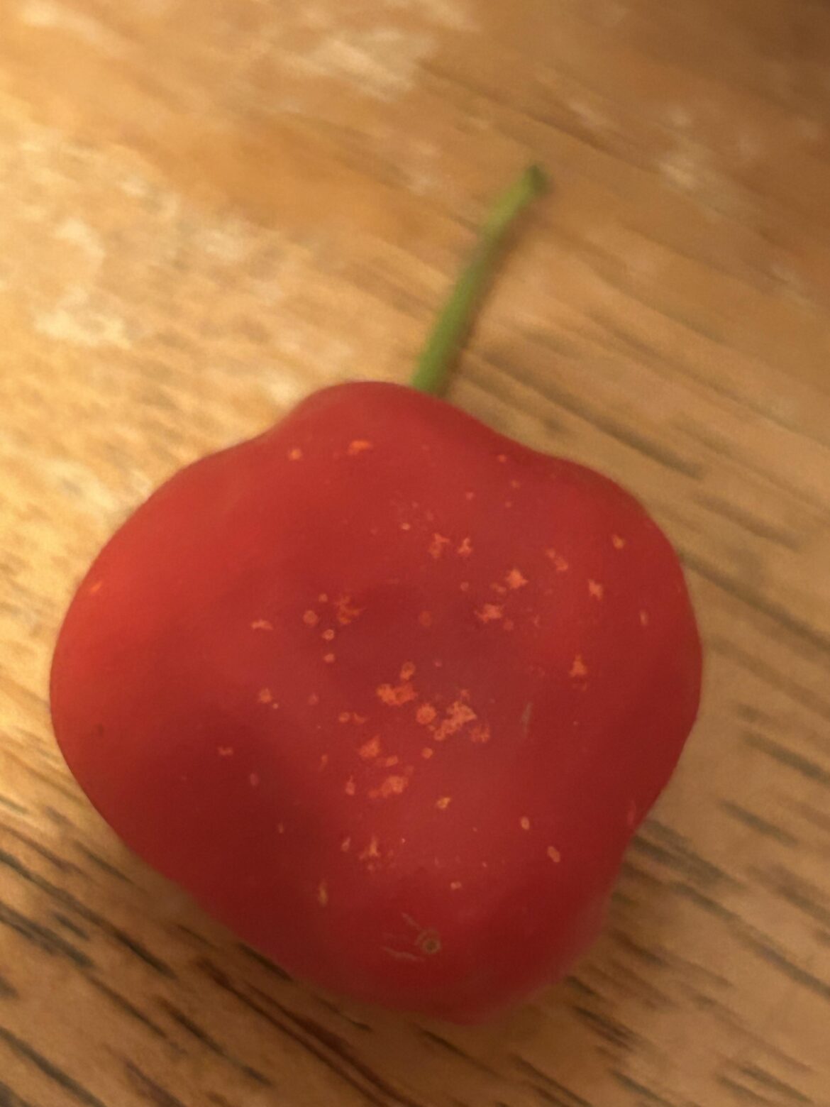 Little spots on my peppers