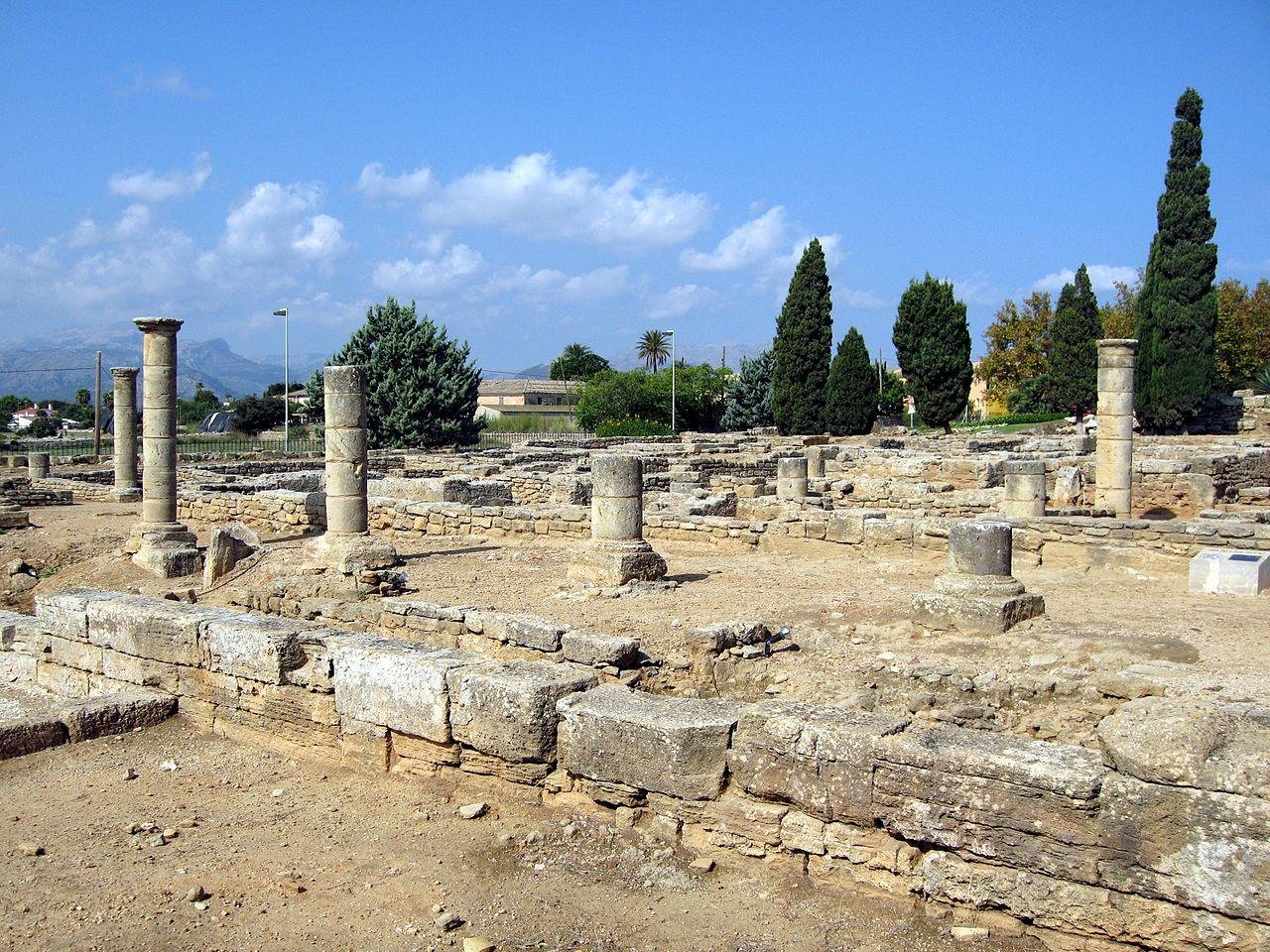 Fried thrushes were ancient Roman street food in Mallorca, not just an elite delicacy, study finds