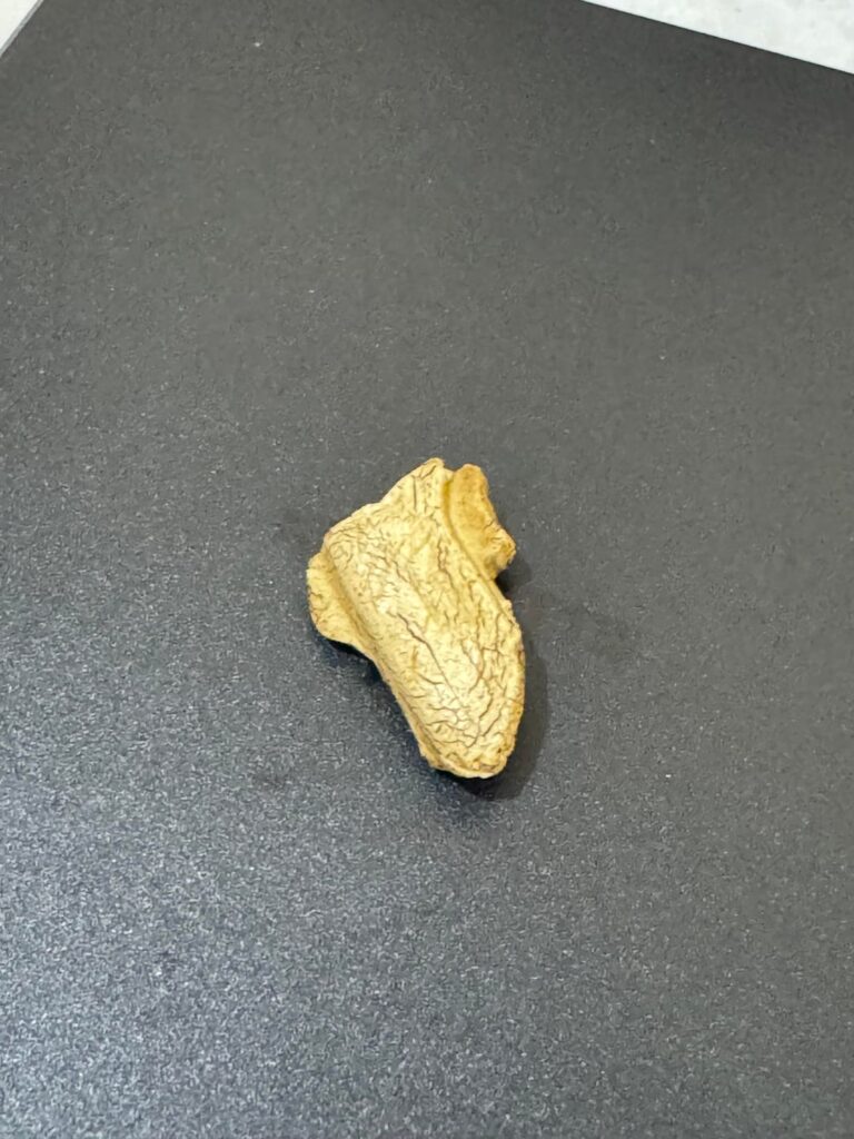 Found this in my Lavazza  coffee bag, what is it?