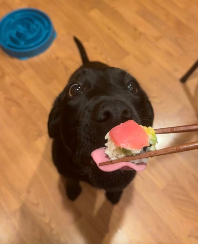 Just got the test results back from the Lab. They are positive.