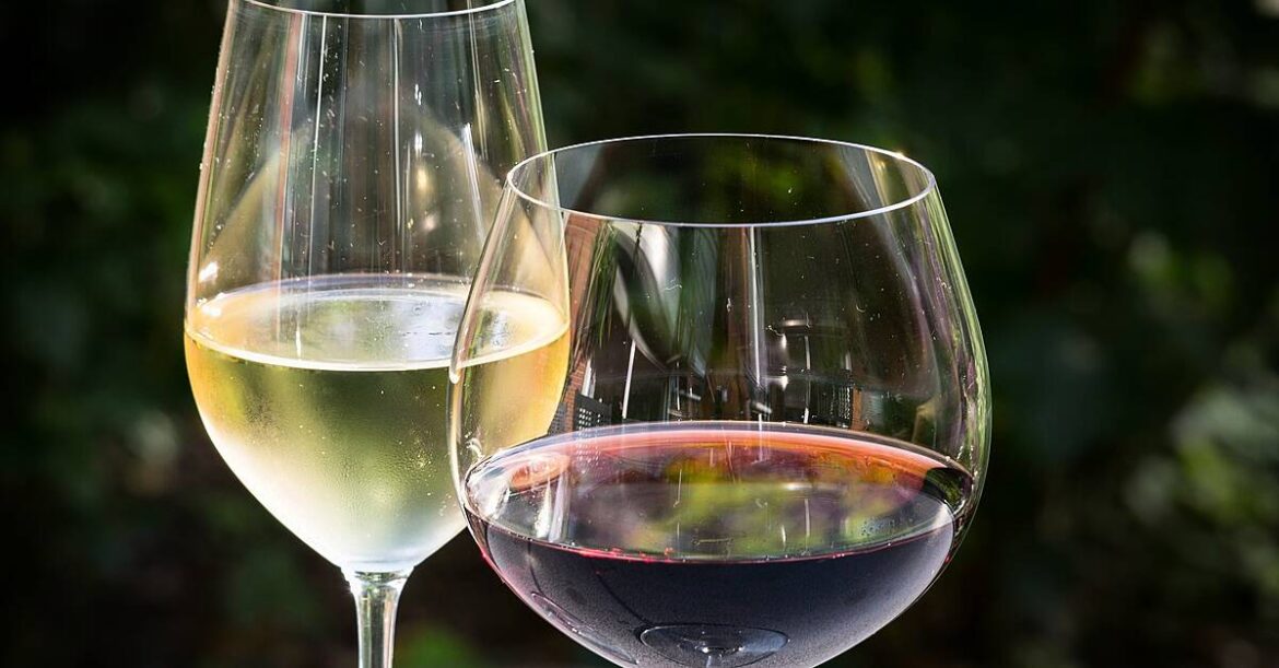 German Wine Harvest To Increase By 5% In 2025: Destatis