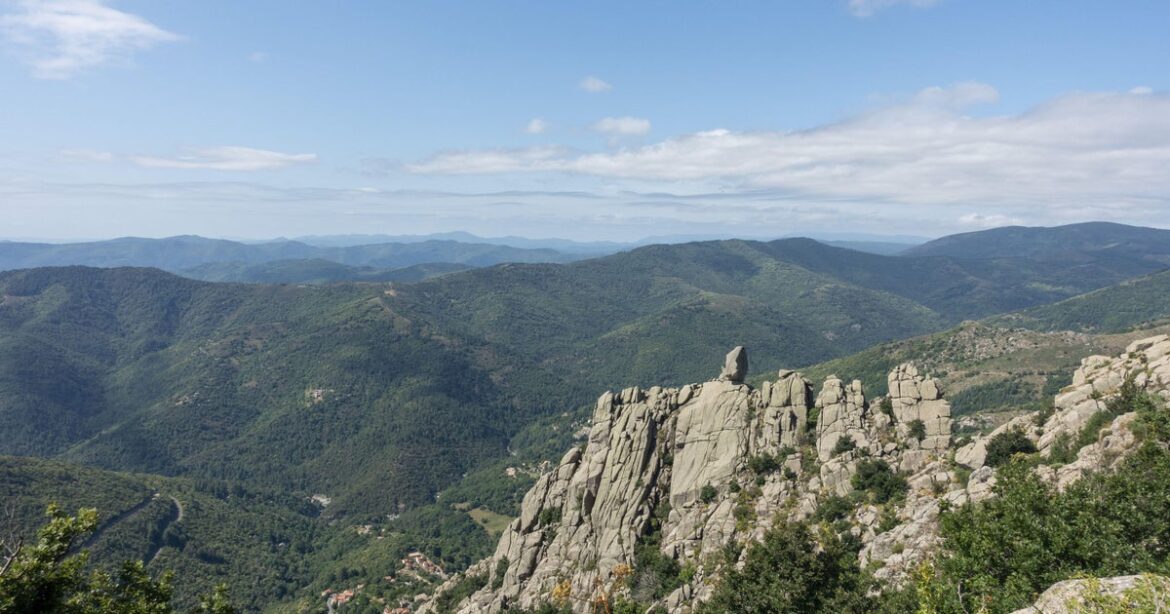 Cyclist falls down 130-foot ravine in France, survives 3 days by drinking wine he had in shopping bag Cyclist falls down 130-foot ravine in France, survives 3 days by drinking wine he had in shopping bag