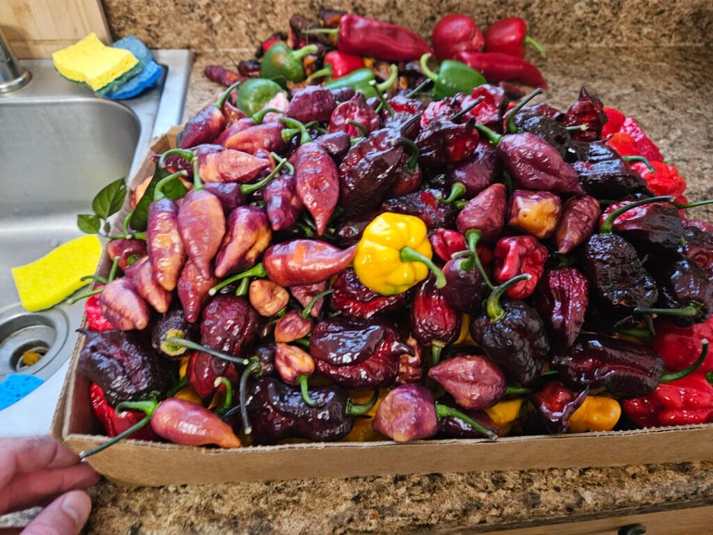 The season is definitely winding down in Green Bay!