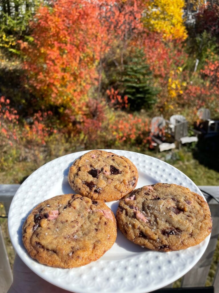 These may be the prettiest and best cookies I’ve ever made These may be the prettiest and best cookies I’ve ever made