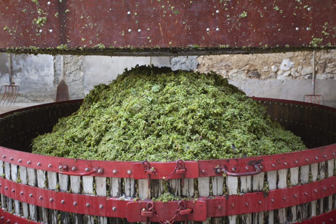 Treviso winemaker crushed to death by wine press Treviso winemaker crushed to death by wine press