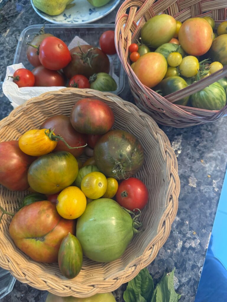 Some of my favourites