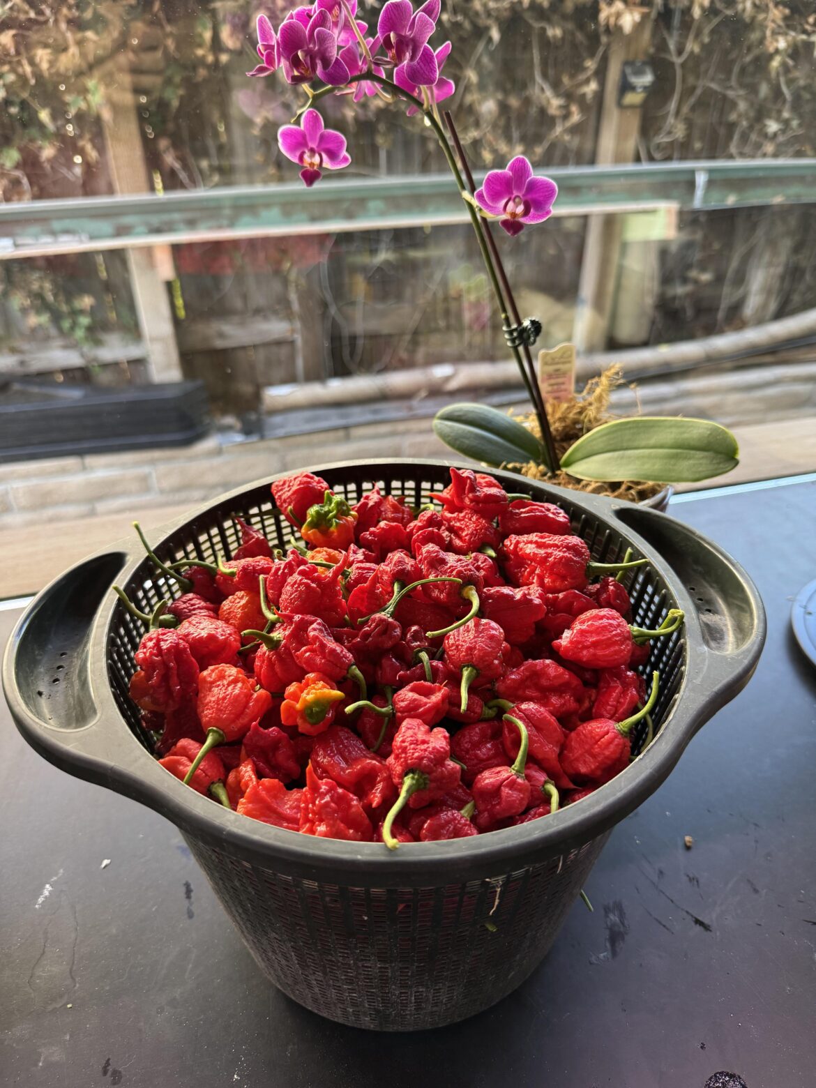 Today’s challenge: Several billion SHU’s