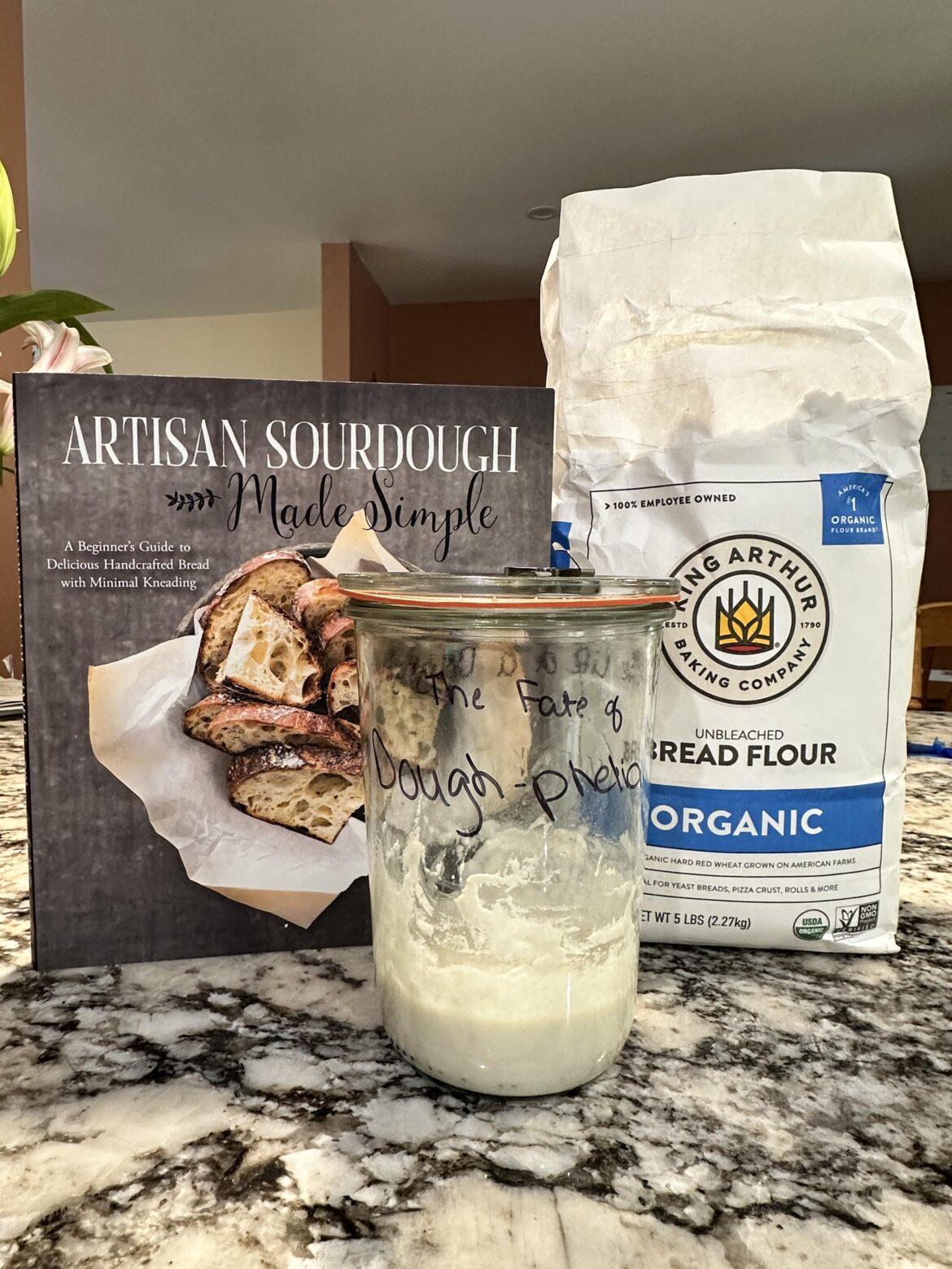 The Life of a Doughgirl begins today