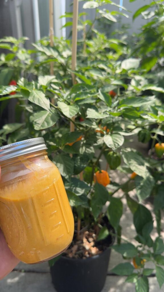 Salsa Cremosa de Habanero Salsa Cremosa de Habanero