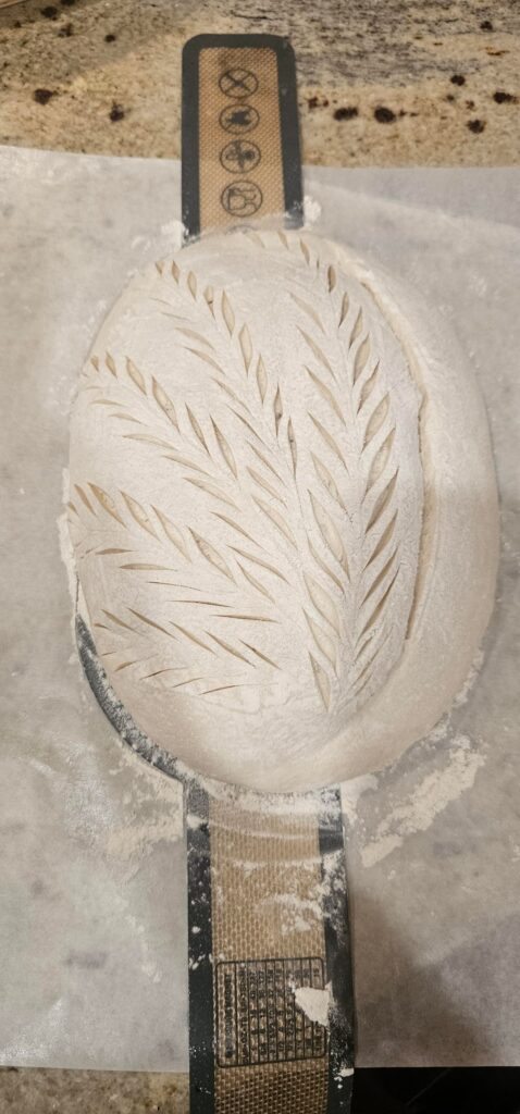 This week's sourdough journal