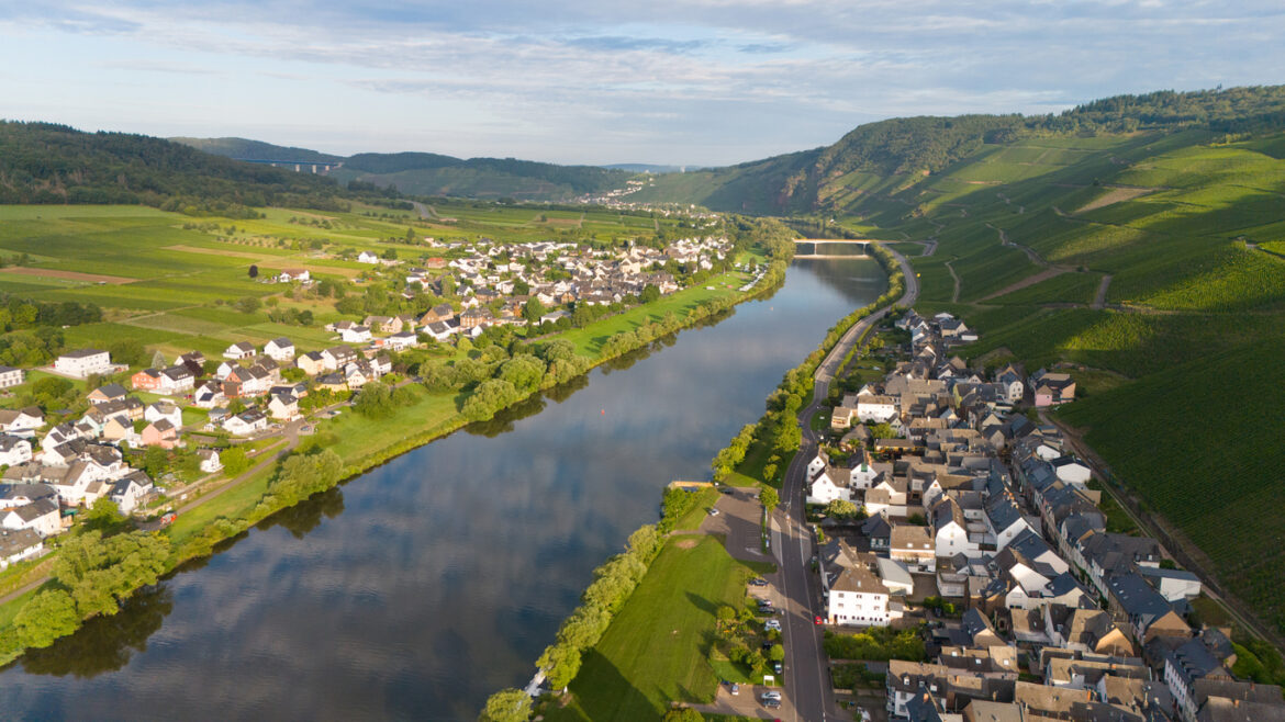 Unknown perpetrators have stolen almost all the ripe Riesling and Sauvignon Blanc grapes from two vineyards in Gundheim, Rhineland-Palatinate. Police believe the raid, carried out between 6 and 14 September, cost the growers several thousand euros in lost fruit.