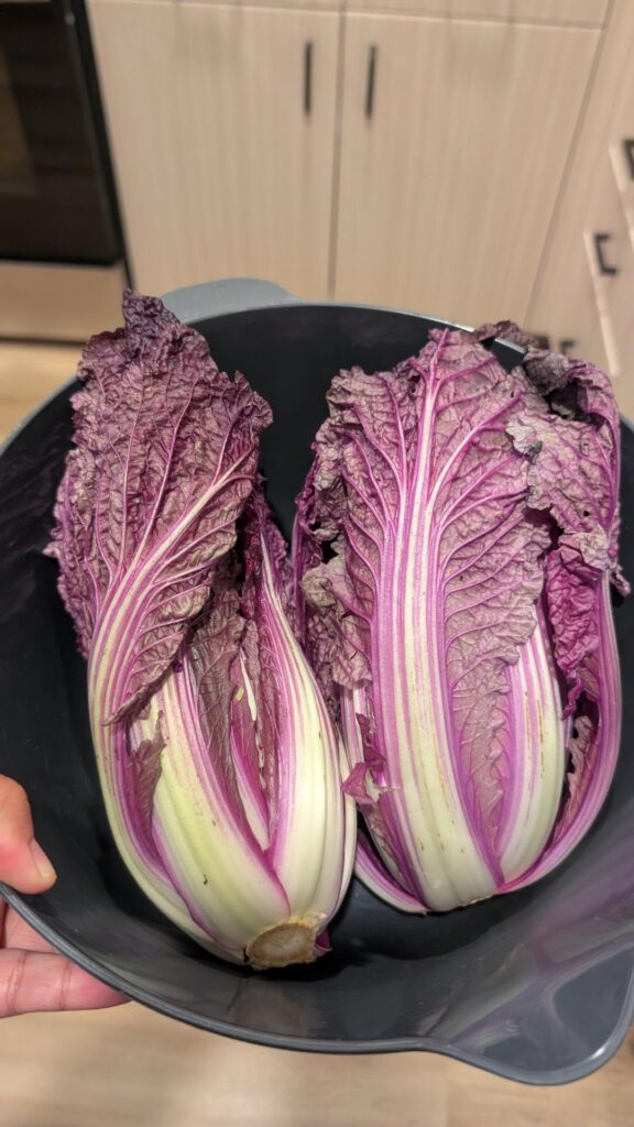 purple napa cabbage kimchi!