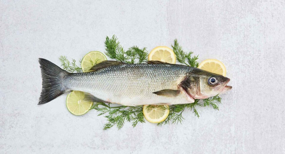 US wholesale: Mediterranean seabass prices soar with Greek, Turkish fish near parity