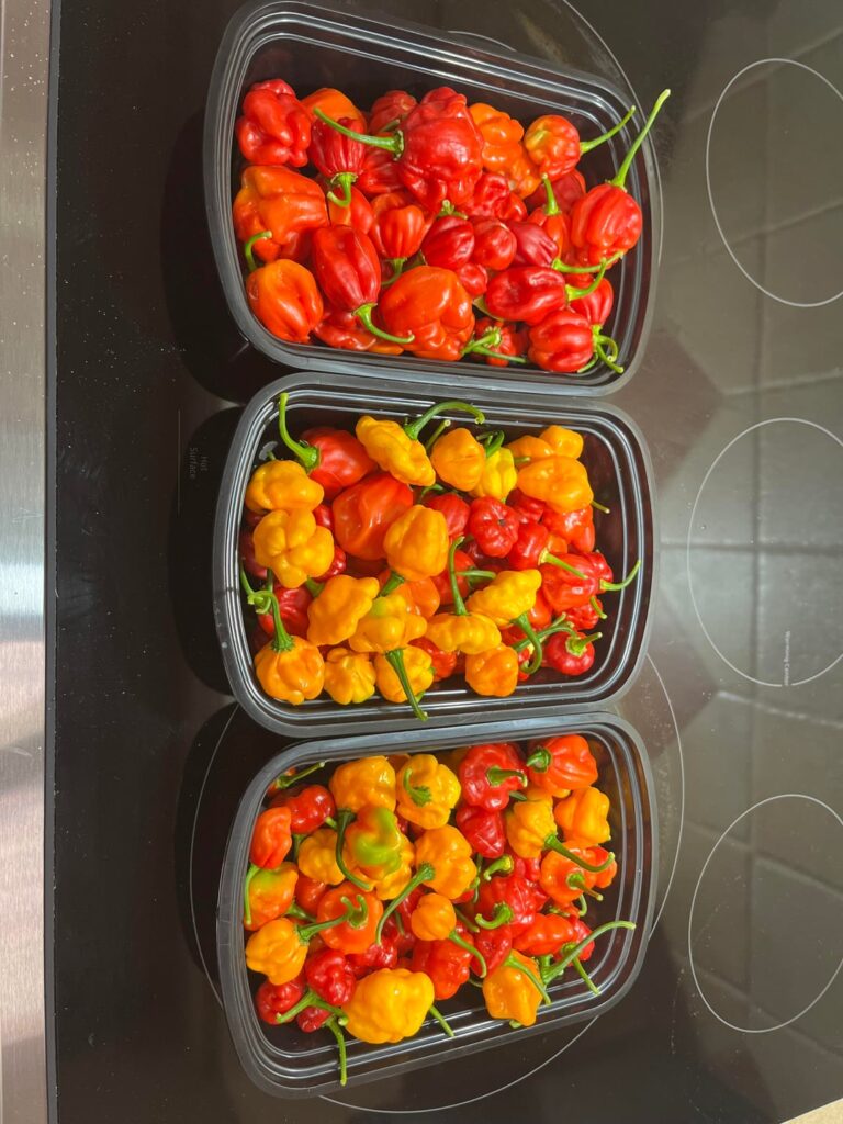 Last harvest of the year